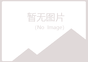 桃山区代梅会计有限公司